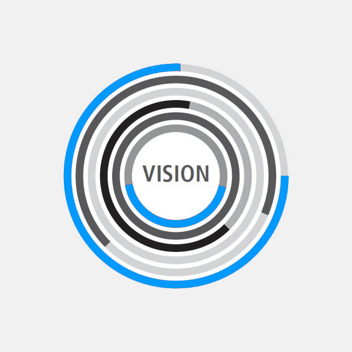 Company vision